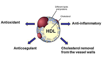 Pendekatan baru dalam Pemanfaatan Kolesterol HDL